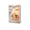 CESTA Z TOXICKÉHO VZTAHU E-KNIHA