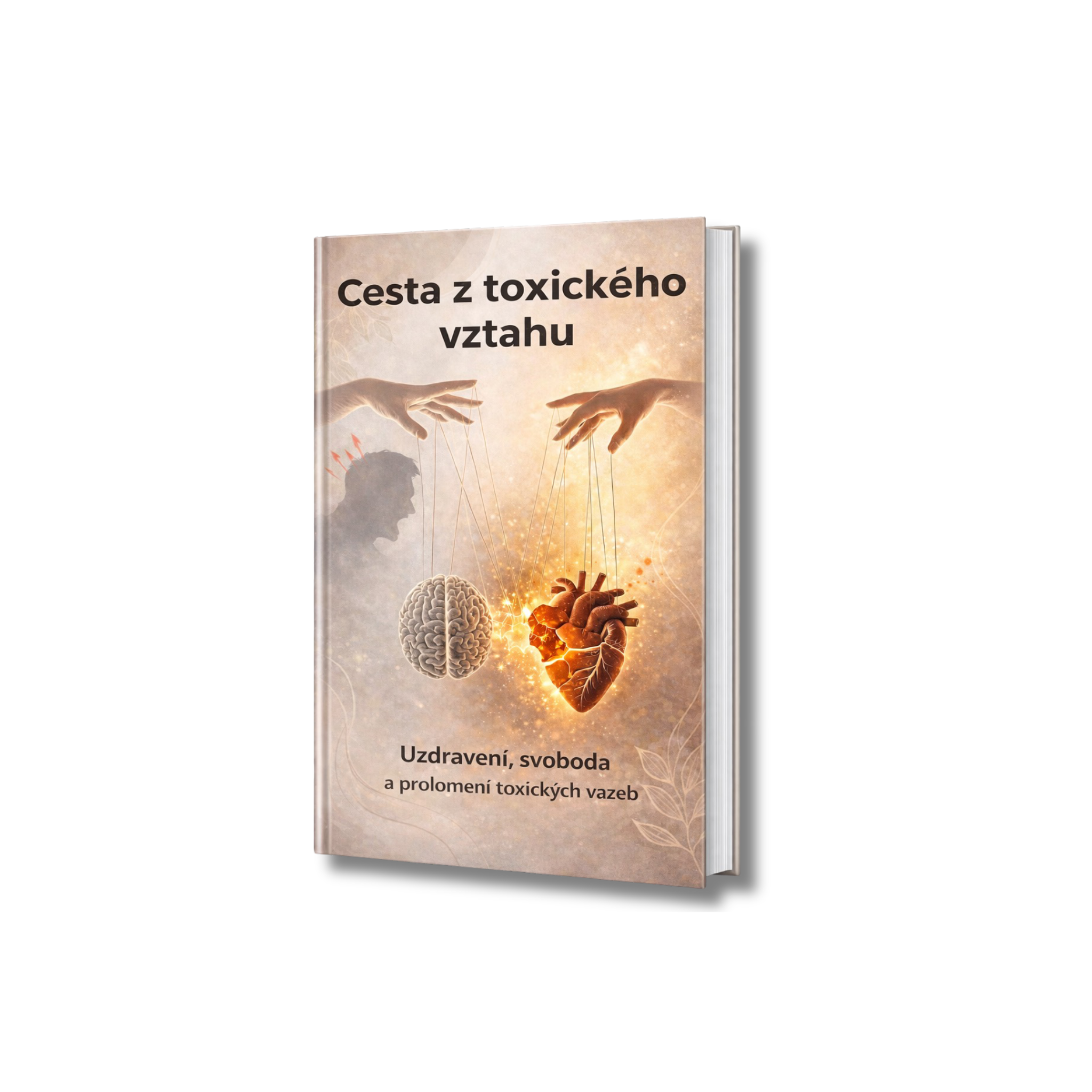 CESTA Z TOXICKÉHO VZTAHU E-KNIHA